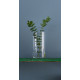 купити Ваза TRENDGLASS FLORA /29 см (35940)