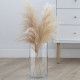 Зображення Ваза TRENDGLASS FLORA /29 см (35940) номер 9