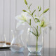 купити Ваза TRENDGLASS LYRA /20 см (35503)