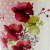 Orchids-1 