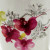 Orchids-2 