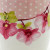 Orchids-4 
